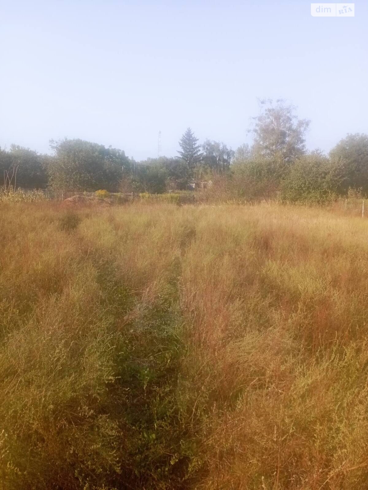 Земельный участок сельскохозяйственного назначения в Дитятках, площадь 35 соток фото 1