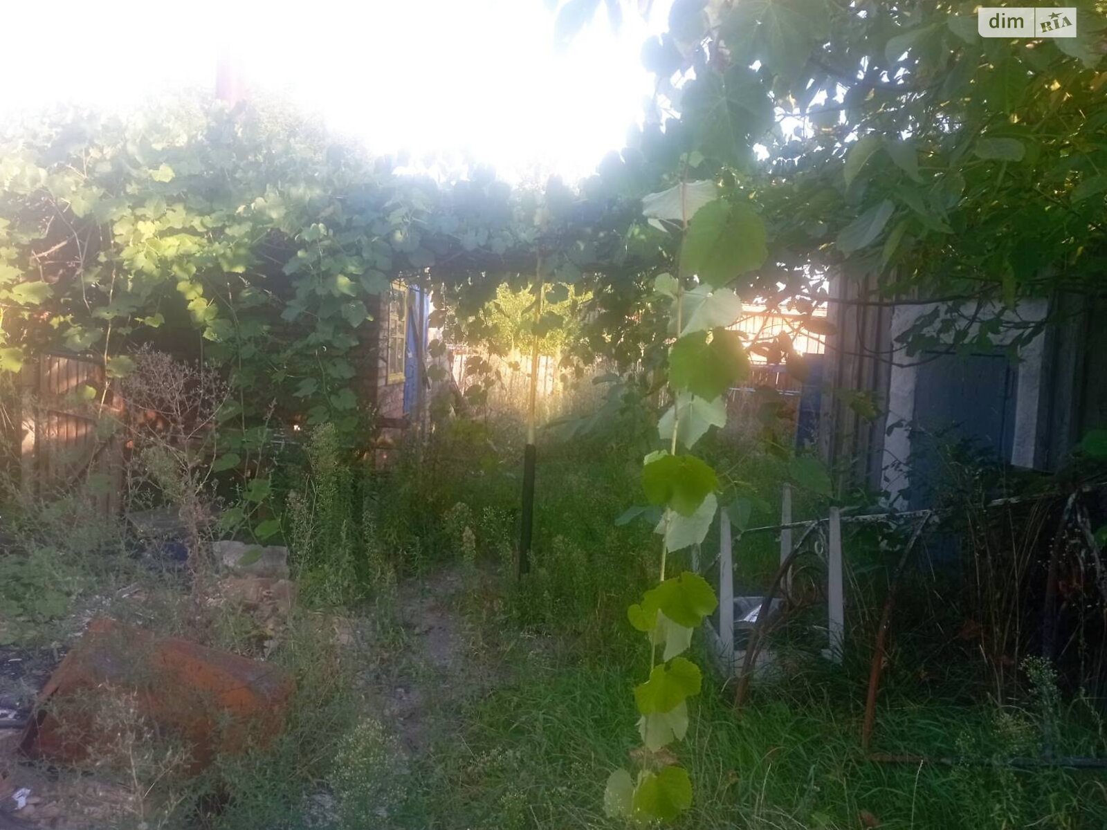 Земельный участок сельскохозяйственного назначения в Дитятках, площадь 35 соток фото 1