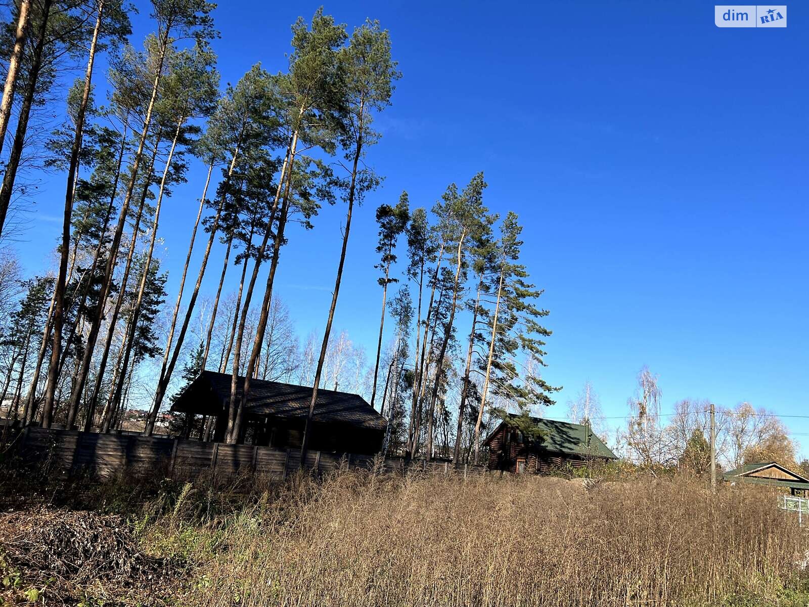 Земельна ділянка сільськогосподарського призначення в Дмитрівці, площа 8 соток фото 1