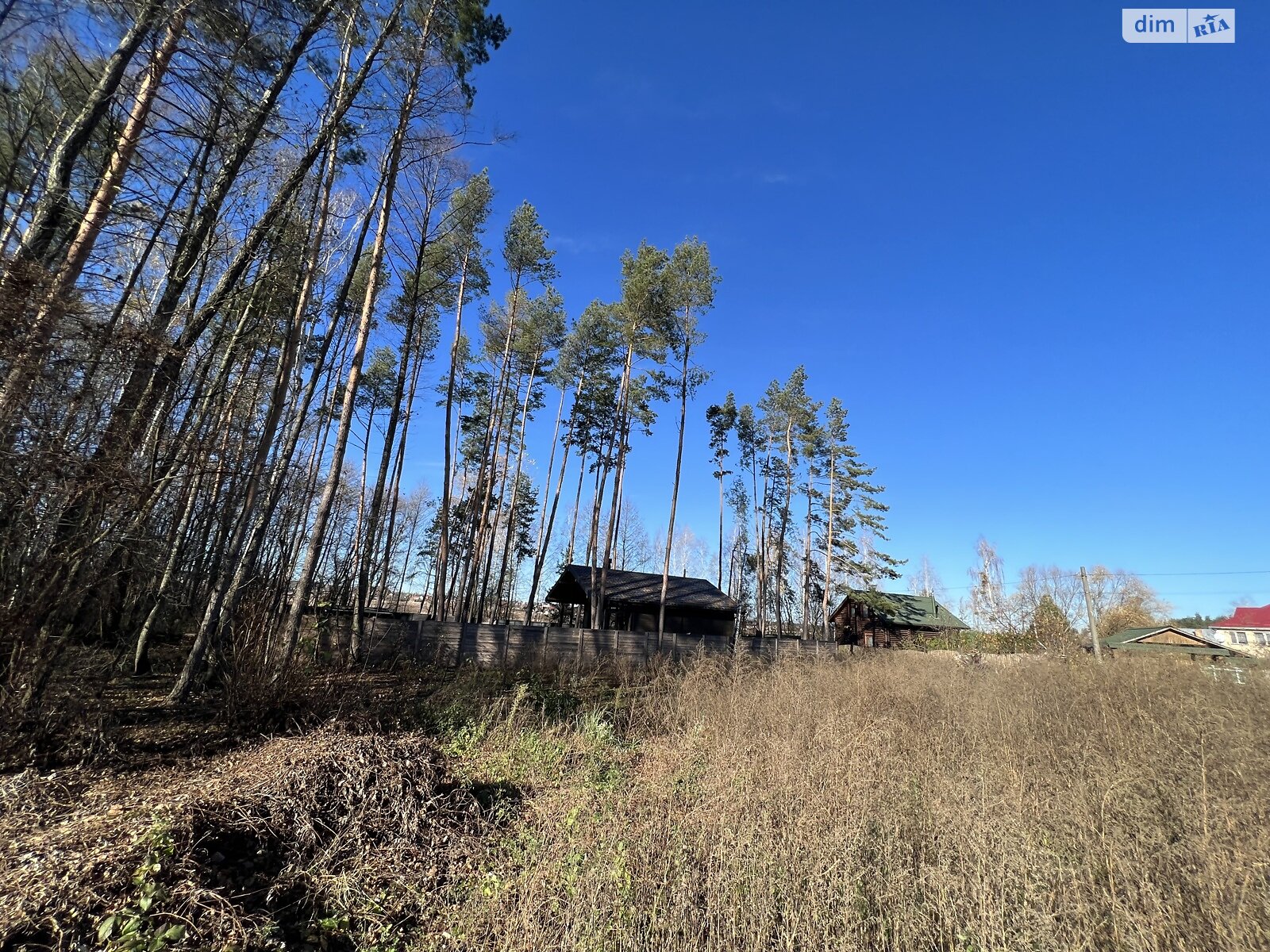 Земельна ділянка сільськогосподарського призначення в Дмитрівці, площа 8 соток фото 1