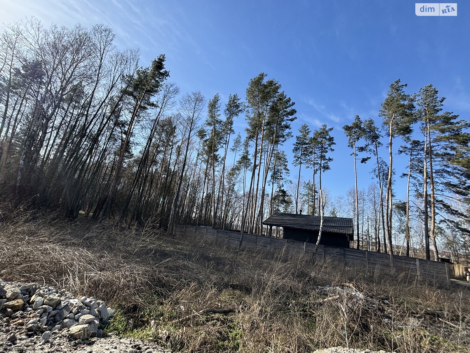 Земельна ділянка сільськогосподарського призначення в Дмитрівці, площа 8 соток фото 1