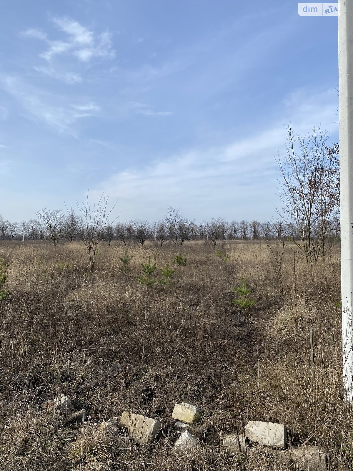 Земельна ділянка сільськогосподарського призначення в Дмитрівці, площа 15 соток фото 1