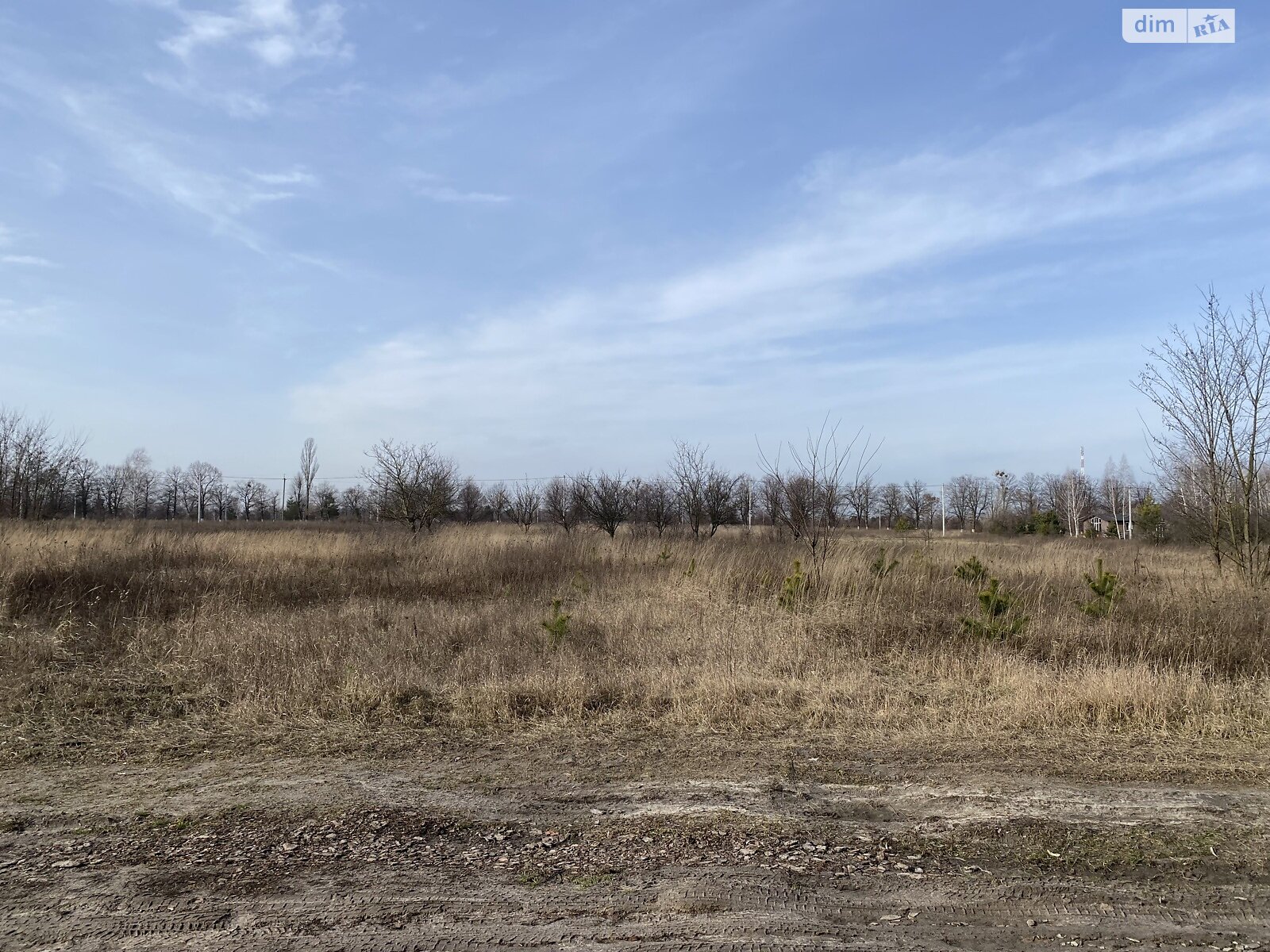 Земельна ділянка сільськогосподарського призначення в Дмитрівці, площа 15 соток фото 1