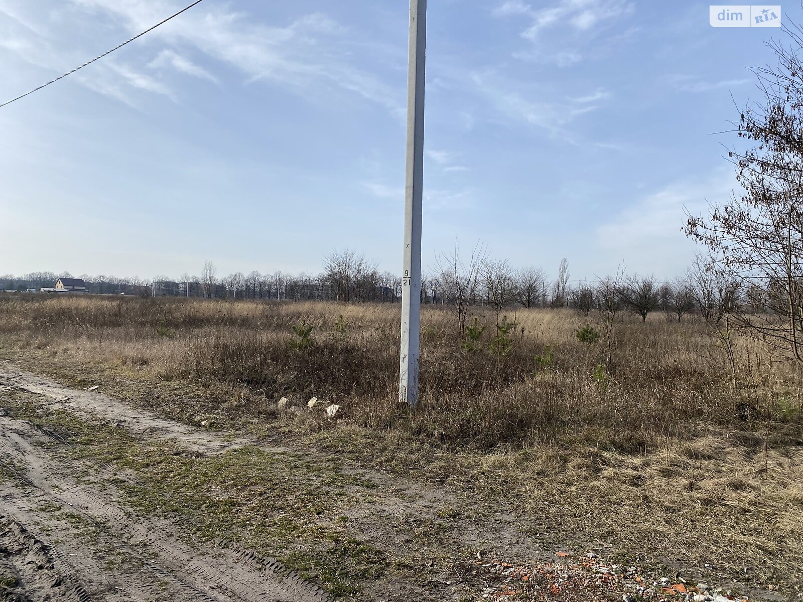 Земельна ділянка сільськогосподарського призначення в Дмитрівці, площа 15 соток фото 1