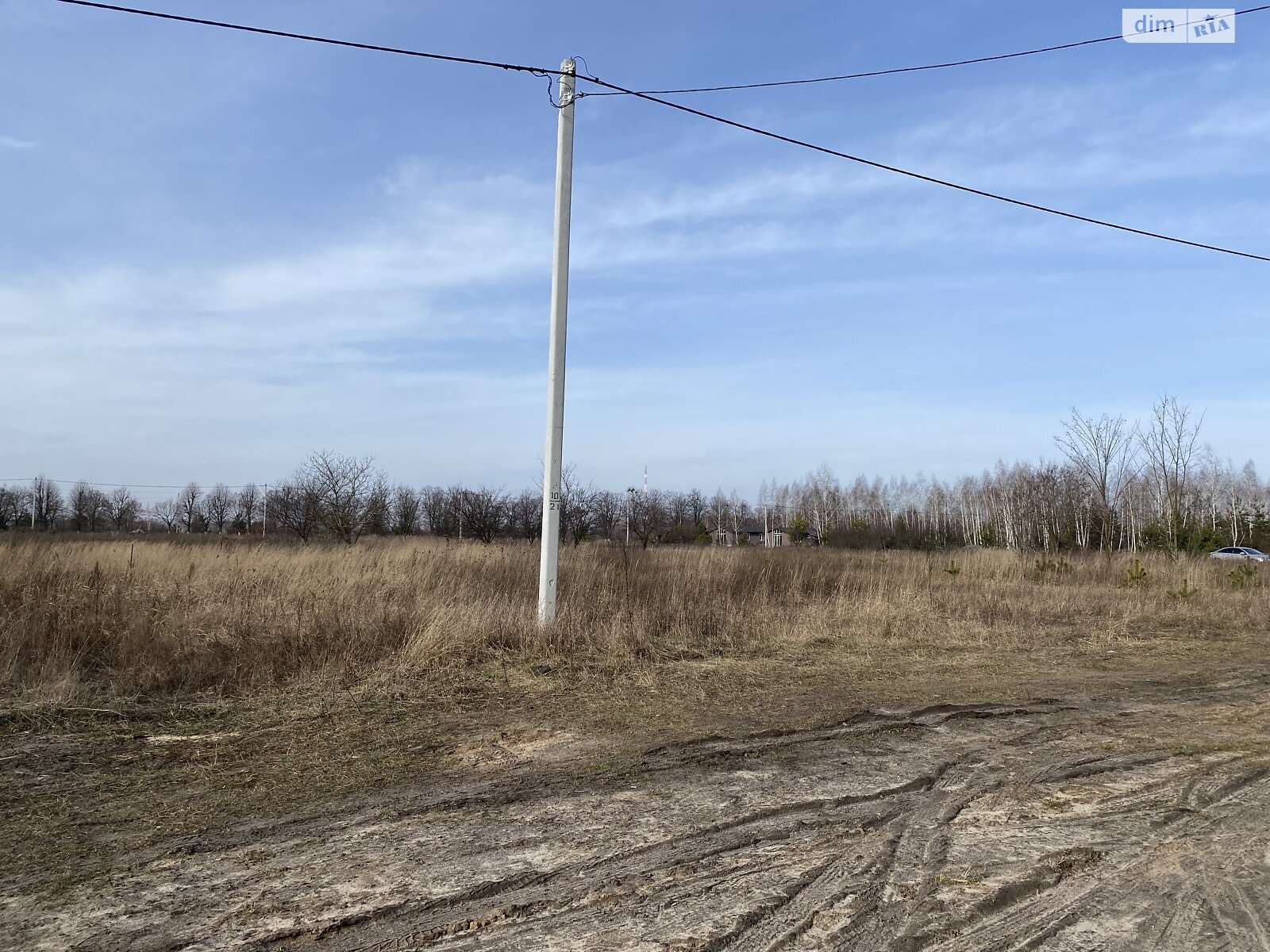 Земельна ділянка сільськогосподарського призначення в Дмитрівці, площа 15 соток фото 1
