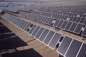 Земельна ділянка сільськогосподарського призначення в Дмухайлівці, площа 25.0067 Га фото 2