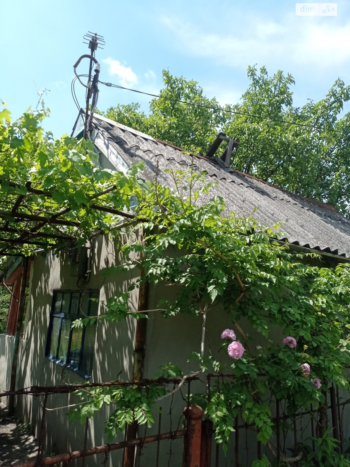 Земля сільськогосподарського призначення в Дніпрі, район 12 квартал, площа 4.6 сотки фото 1 Земля сільськогосподарського призначення в Дніпрі, район 12 квартал, площа 4.6 сотки фото 1