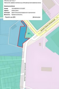 Земельна ділянка сільськогосподарського призначення в Новоолександрівці, площа 57.16 сотки фото 1