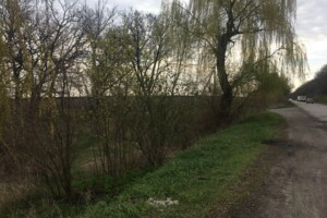 Земельна ділянка сільськогосподарського призначення в Чумаках, площа 90 соток фото 2