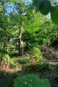 Земля сельскохозяйственного назначения в Днепре, район Победа-6, площадь 6.31 сотки фото 2 Земля сельскохозяйственного назначения в Днепре, район Победа-6, площадь 6.31 сотки фото 2