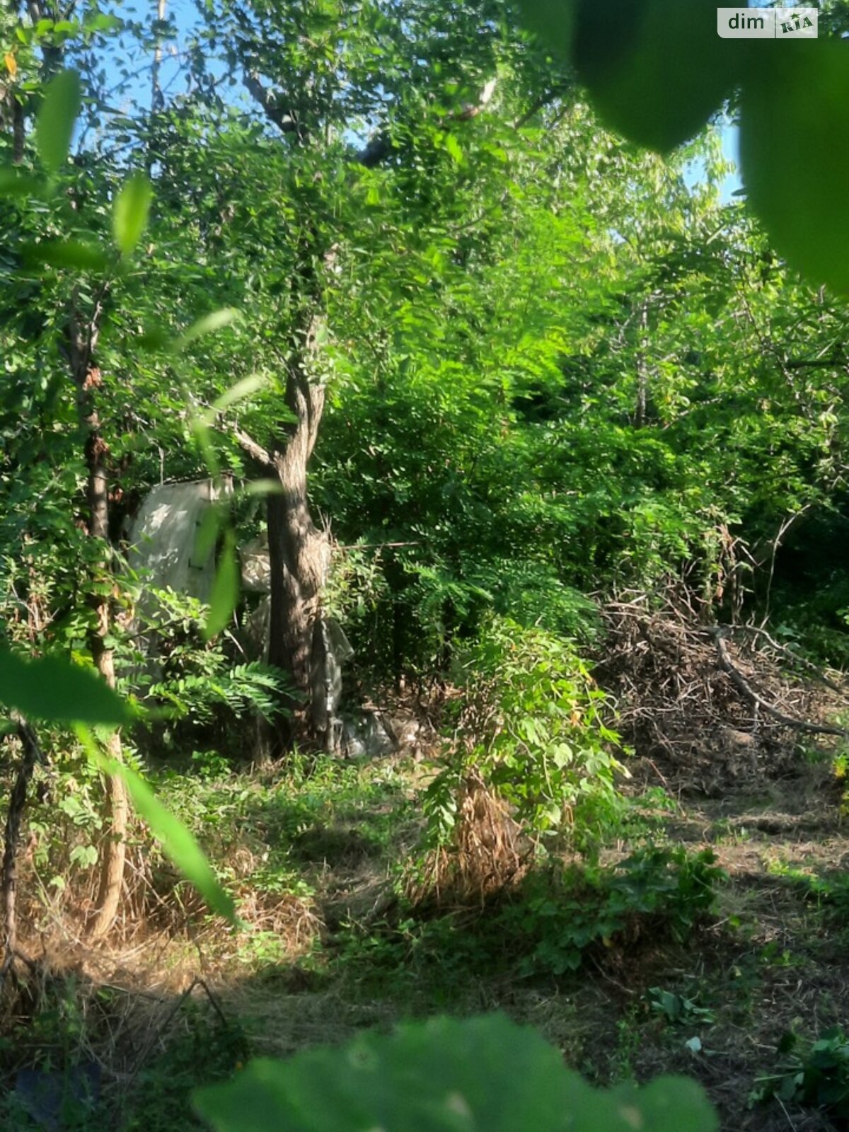 Земля сельскохозяйственного назначения в Днепре, район Победа-6, площадь 6.31 сотки фото 1 Земля сельскохозяйственного назначения в Днепре, район Победа-6, площадь 6.31 сотки фото 1