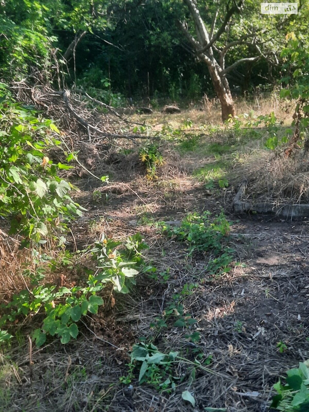 Земля сельскохозяйственного назначения в Днепре, район Победа-6, площадь 6.31 сотки фото 1 Земля сельскохозяйственного назначения в Днепре, район Победа-6, площадь 6.31 сотки фото 1