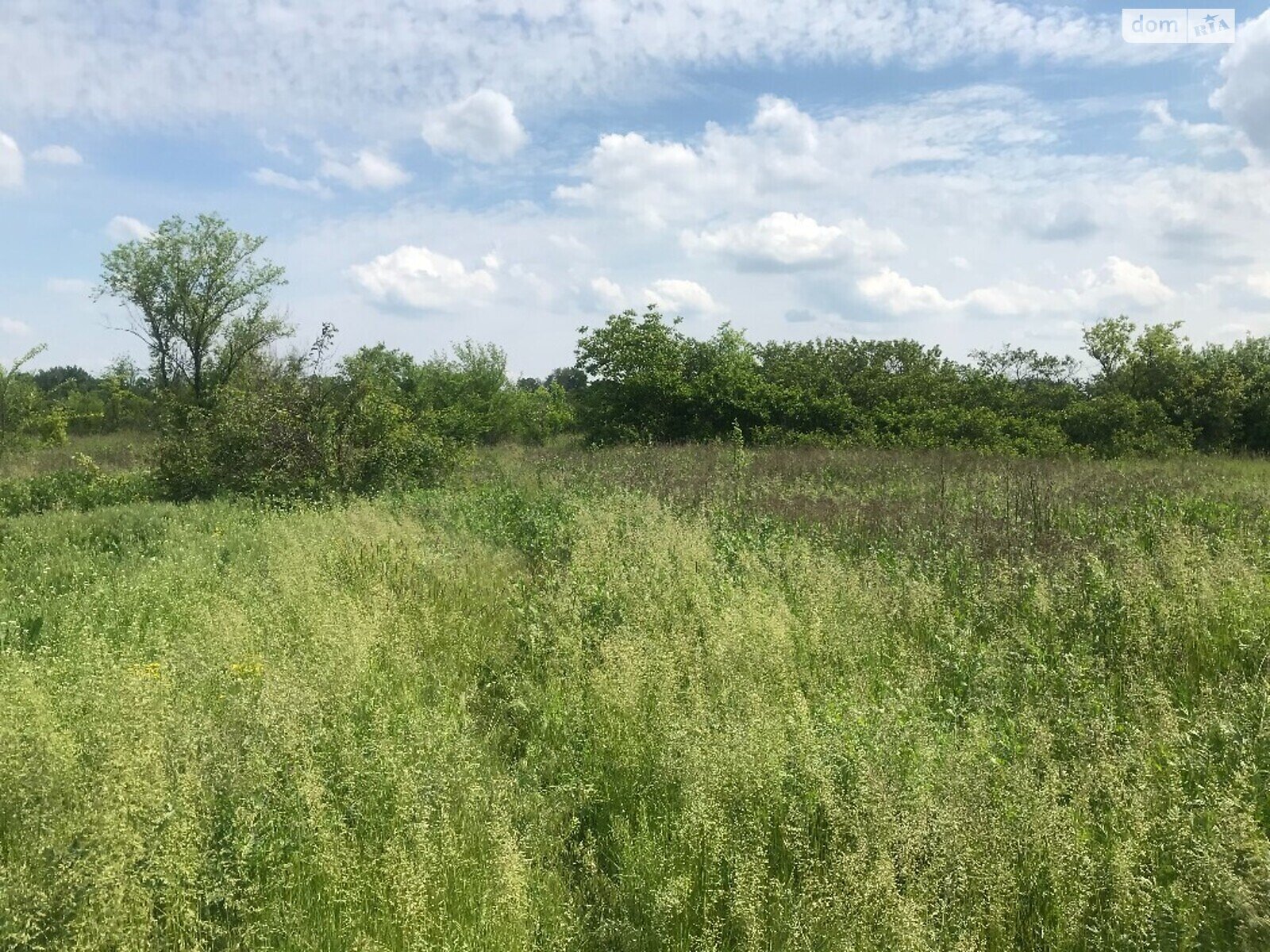 Земельна ділянка сільськогосподарського призначення в Підгородне, площа 2 Га фото 1