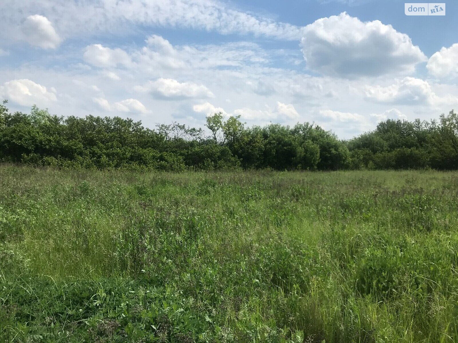 Земельна ділянка сільськогосподарського призначення в Підгородне, площа 2 Га фото 1