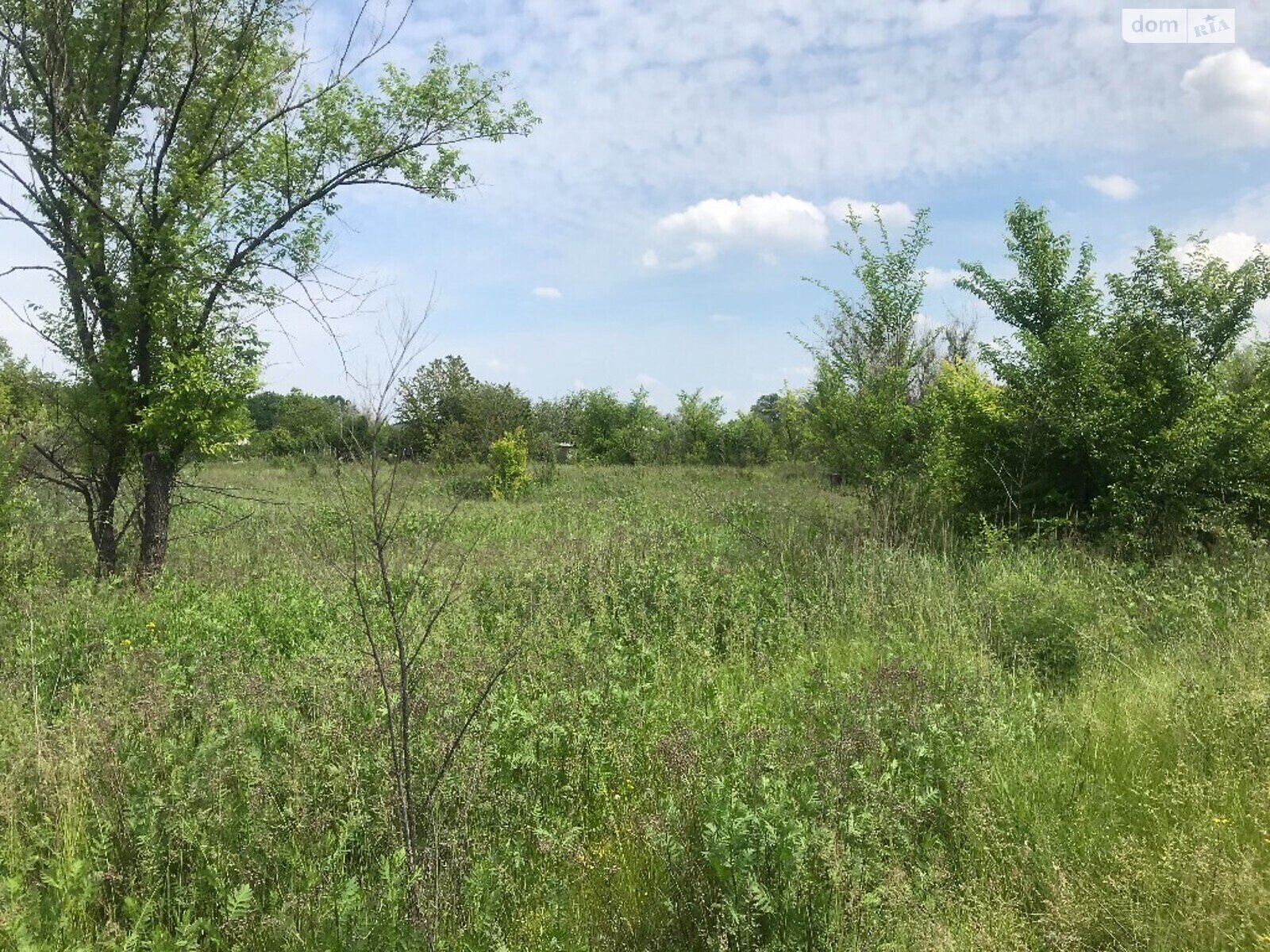 Земельна ділянка сільськогосподарського призначення в Підгородне, площа 2 Га фото 1