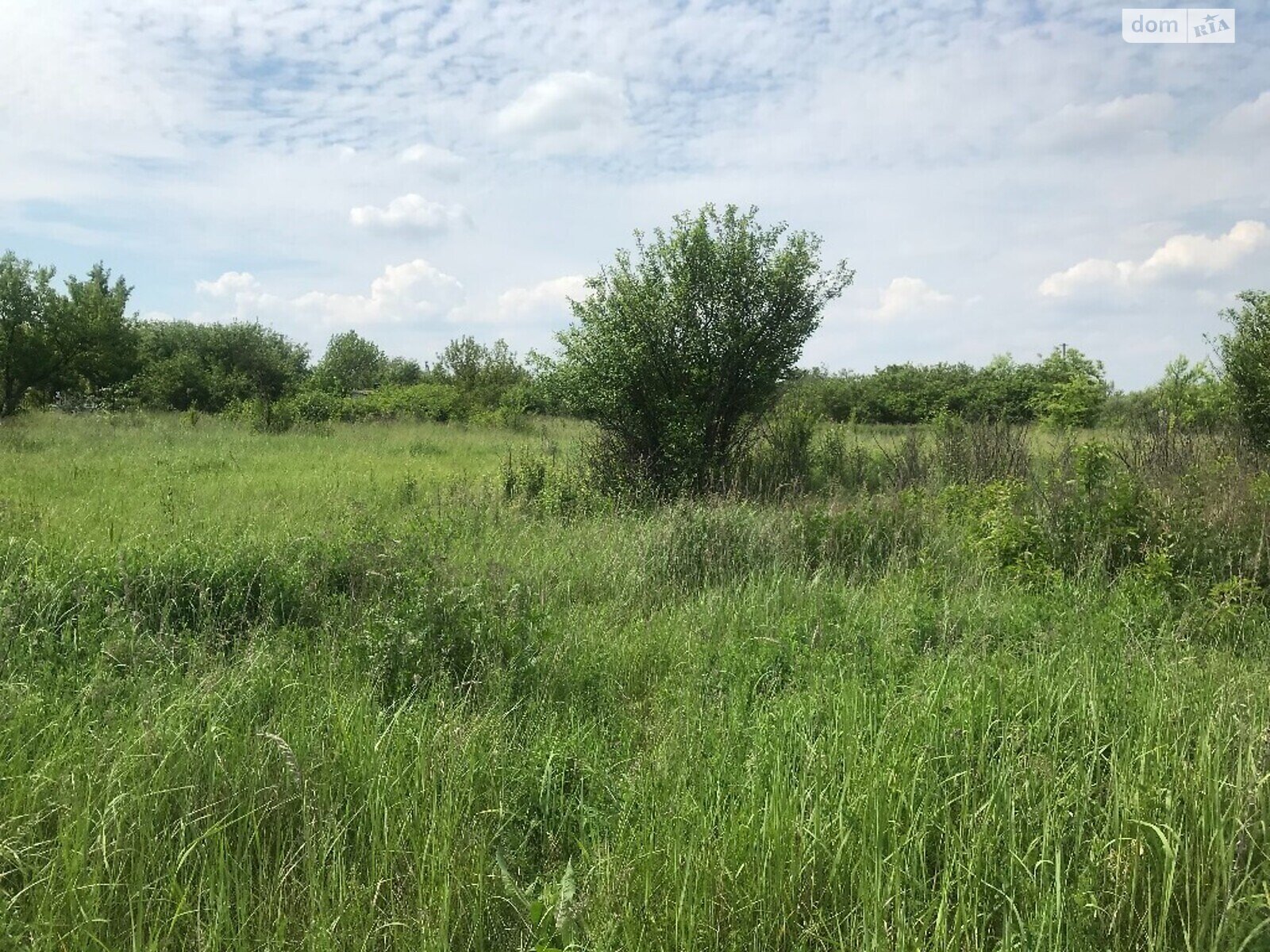 Земельна ділянка сільськогосподарського призначення в Підгородне, площа 2 Га фото 1