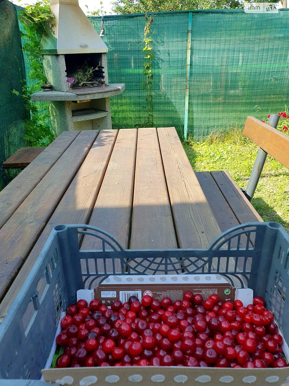 Земля сельскохозяйственного назначения в Днепре, район Соборный, площадь 2 сотки фото 1 Земля сельскохозяйственного назначения в Днепре, район Соборный, площадь 2 сотки фото 1
