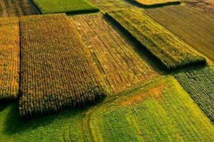 Земельна ділянка сільськогосподарського призначення в Дніпрі, площа 6.0743 Га фото 1