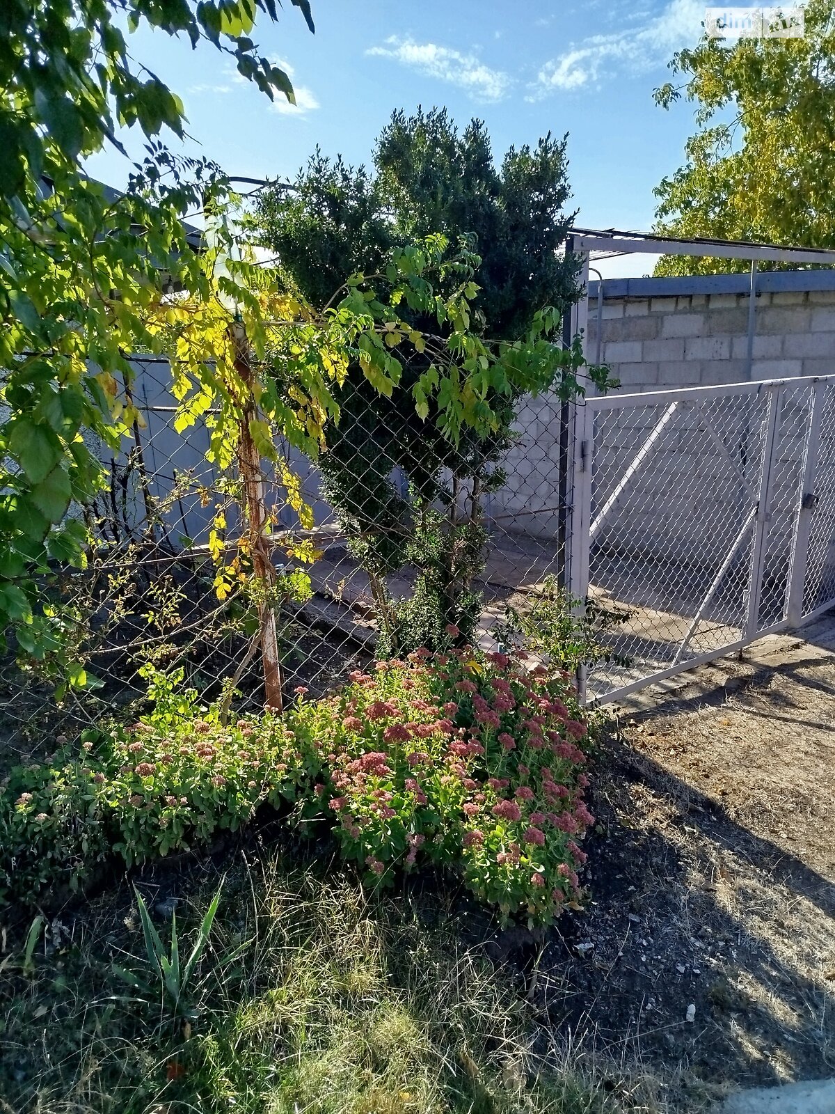 Земельна ділянка сільськогосподарського призначення в Хорошеве, площа 12 соток фото 1 Земельна ділянка сільськогосподарського призначення в Хорошеве, площа 12 соток фото 1