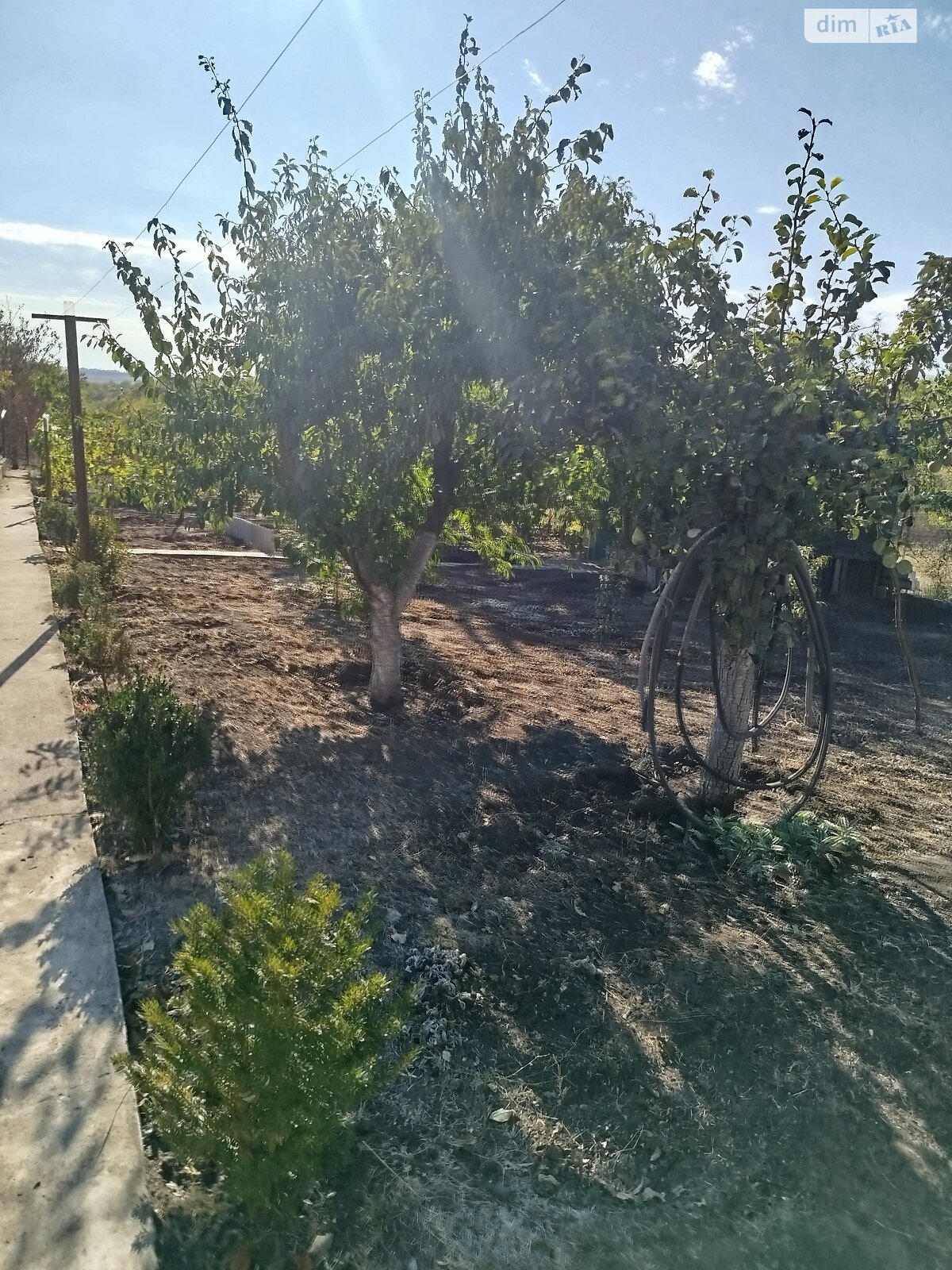 Земельна ділянка сільськогосподарського призначення в Хорошеве, площа 12 соток фото 1 Земельна ділянка сільськогосподарського призначення в Хорошеве, площа 12 соток фото 1