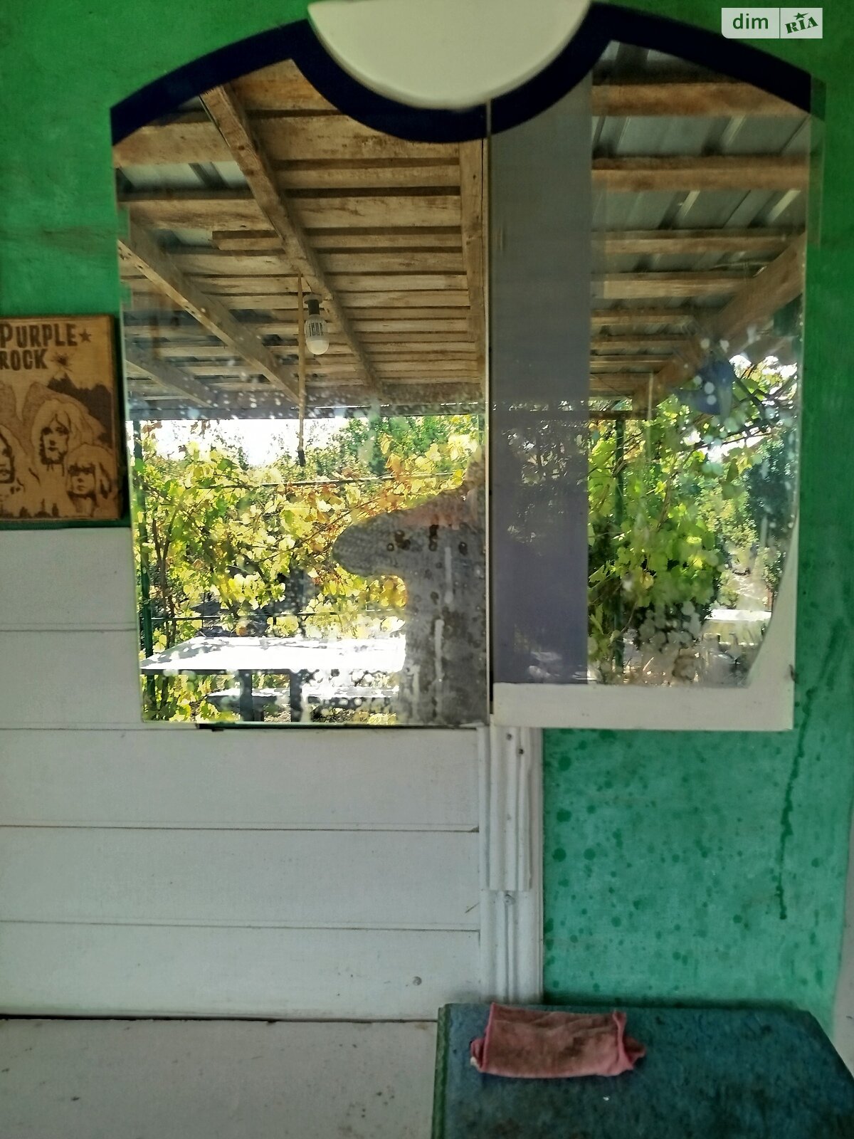 Земельна ділянка сільськогосподарського призначення в Хорошеве, площа 12 соток фото 1 Земельна ділянка сільськогосподарського призначення в Хорошеве, площа 12 соток фото 1