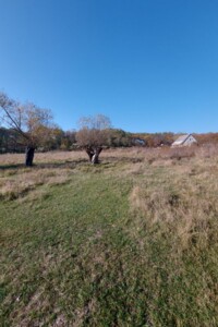 Земельный участок сельскохозяйственного назначения в Днепре, площадь 78 соток фото 2 Земельный участок сельскохозяйственного назначения в Днепре, площадь 78 соток фото 2