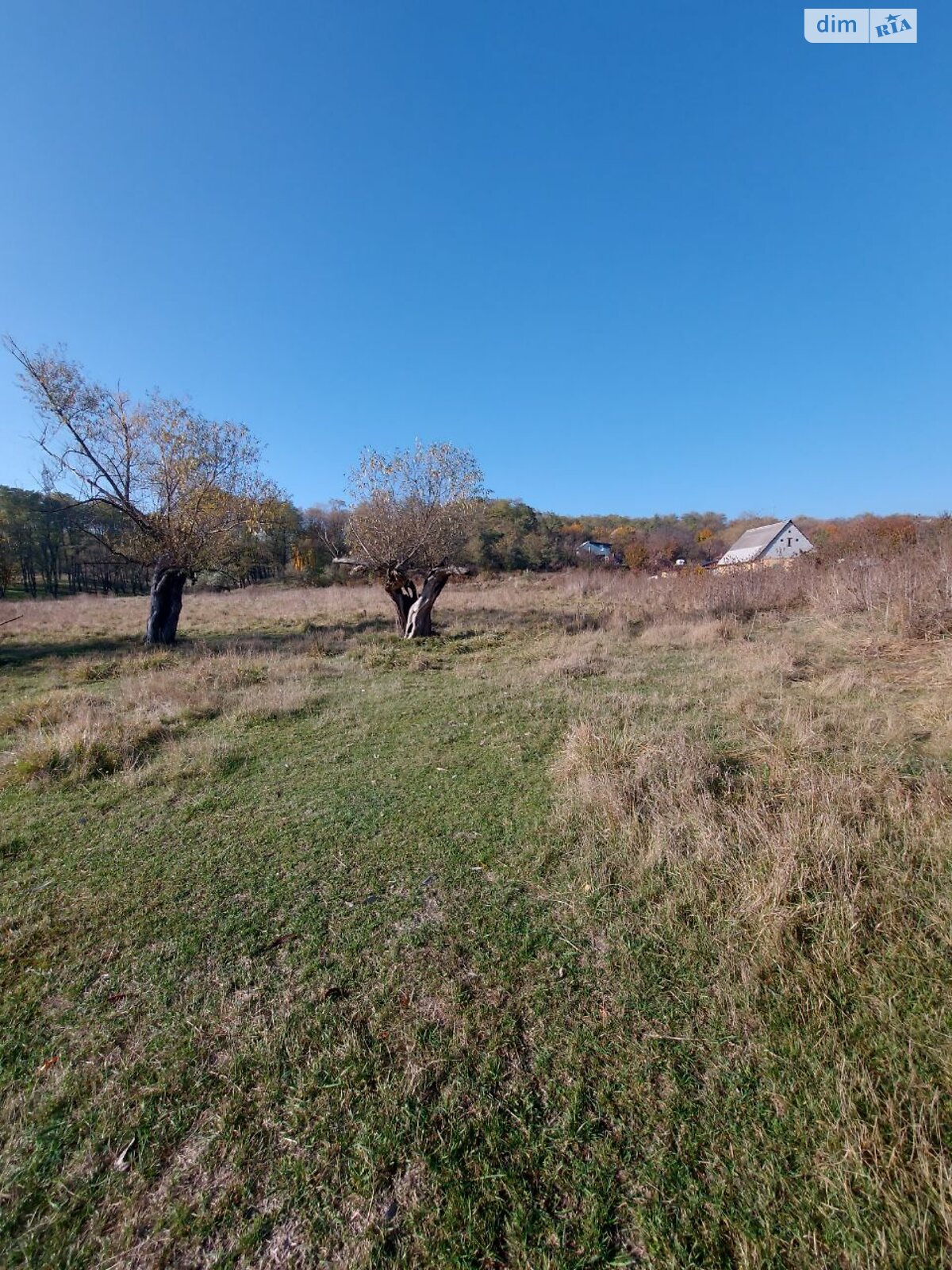 Земельный участок сельскохозяйственного назначения в Днепре, площадь 78 соток фото 1 Земельный участок сельскохозяйственного назначения в Днепре, площадь 78 соток фото 1