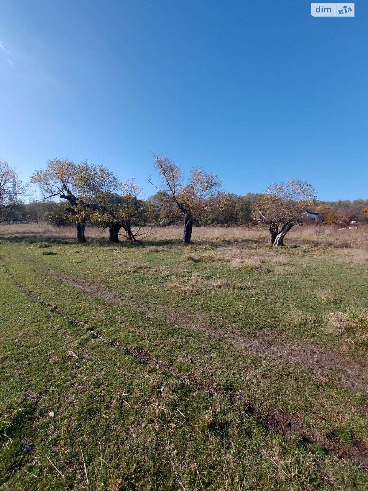 Земельный участок сельскохозяйственного назначения в Днепре, площадь 78 соток фото 1 Земельный участок сельскохозяйственного назначения в Днепре, площадь 78 соток фото 1