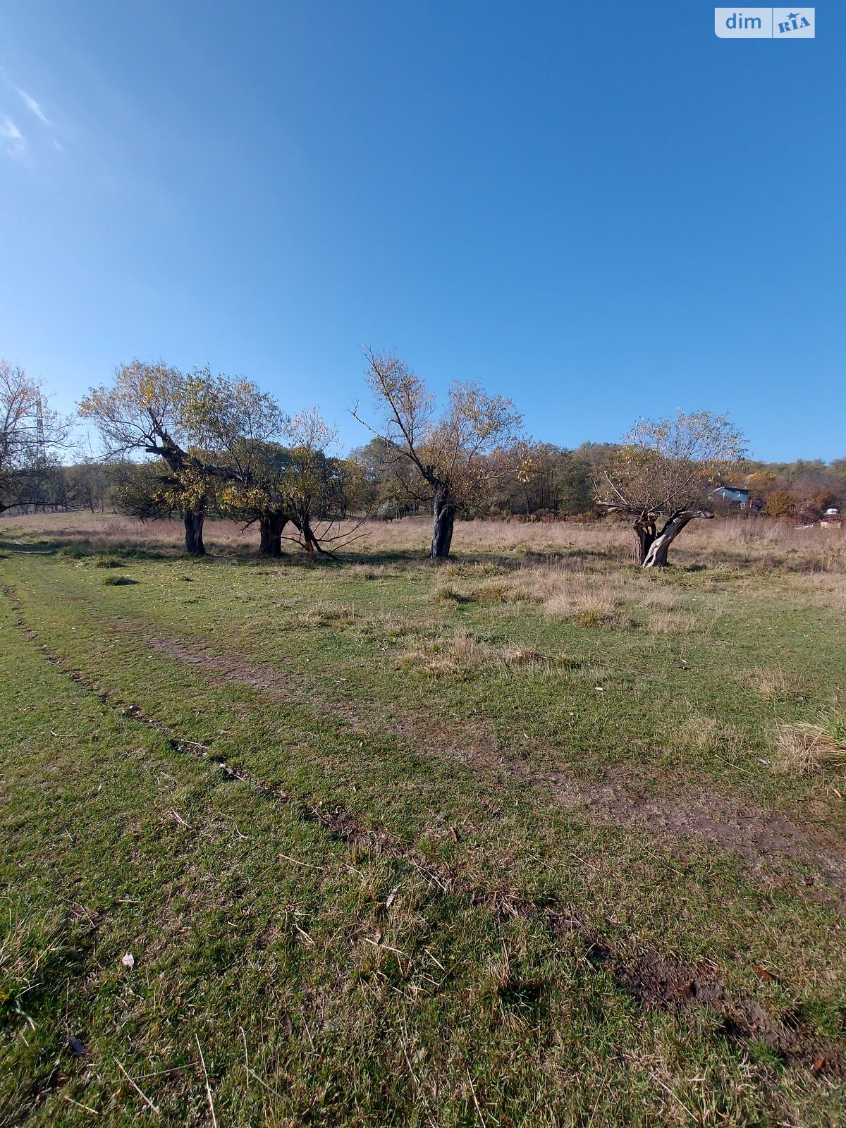 Земельный участок сельскохозяйственного назначения в Днепре, площадь 78 соток фото 1 Земельный участок сельскохозяйственного назначения в Днепре, площадь 78 соток фото 1
