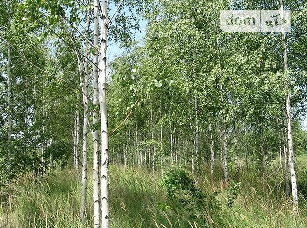 Продажа земли сельскохозяйственного назначения, Днепропетровск, поселок Ясный Продажа земли сельскохозяйственного назначения, Днепропетровск, поселок Ясный