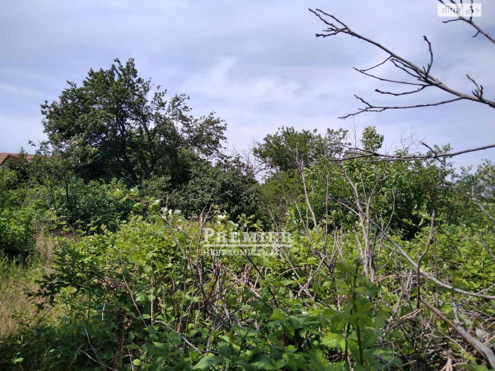 Земельный участок сельскохозяйственного назначения в Барабое, площадь 6 соток фото 1 Земельный участок сельскохозяйственного назначения в Барабое, площадь 6 соток фото 1