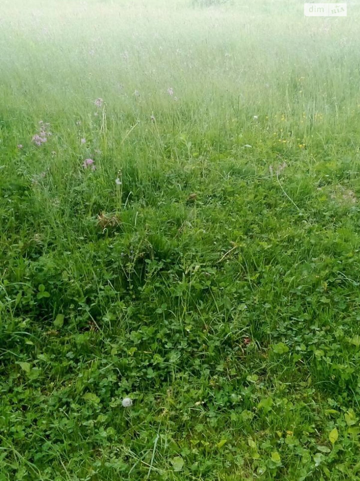 Земельный участок сельскохозяйственного назначения в Добровлянах, площадь 0.4602 сотки фото 1