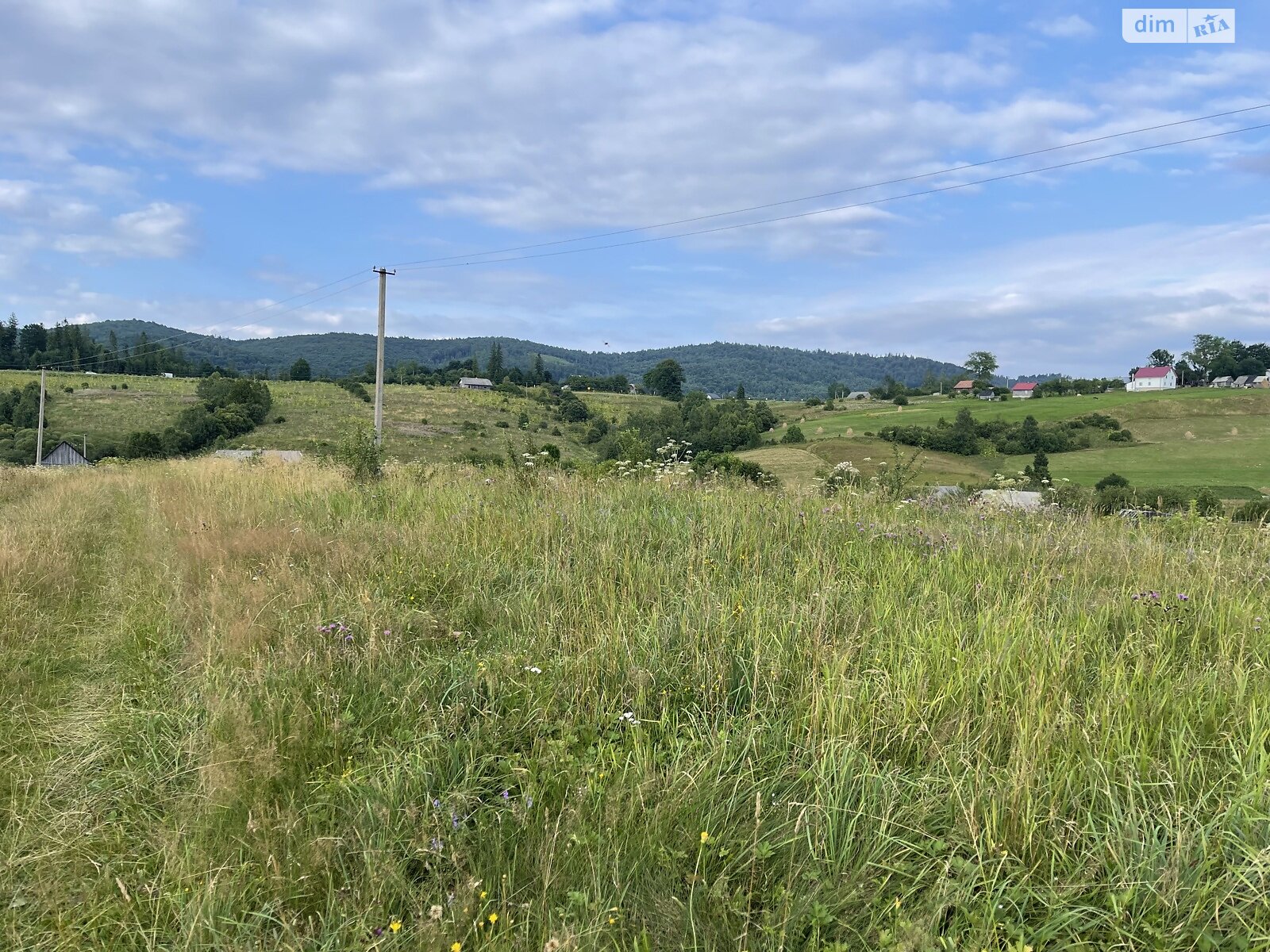 Земельна ділянка сільськогосподарського призначення в Долинівці, площа 60 соток фото 1