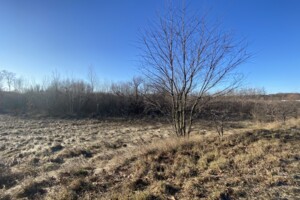 Земельный участок сельскохозяйственного назначения в Дорожном, площадь 60 соток фото 2