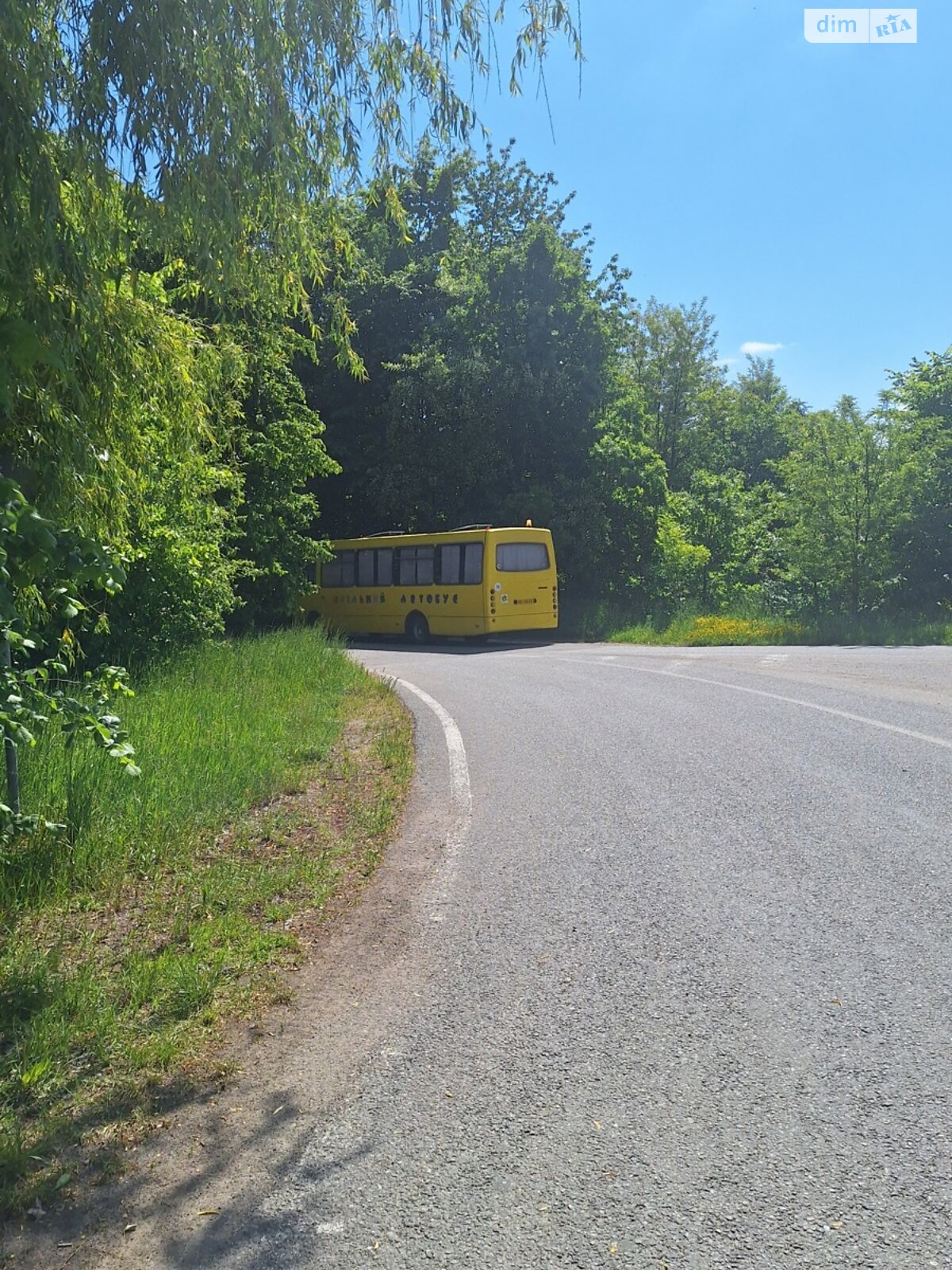 Земельна ділянка сільськогосподарського призначення в Дорожне, площа 77 соток фото 1