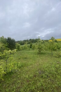 Земельна ділянка сільськогосподарського призначення в Довжанці, площа 1.31 Га фото 2