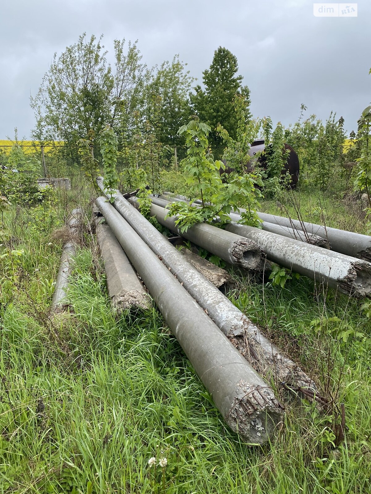 Земельна ділянка сільськогосподарського призначення в Довжанці, площа 1.31 Га фото 1 Земельна ділянка сільськогосподарського призначення в Довжанці, площа 1.31 Га фото 1
