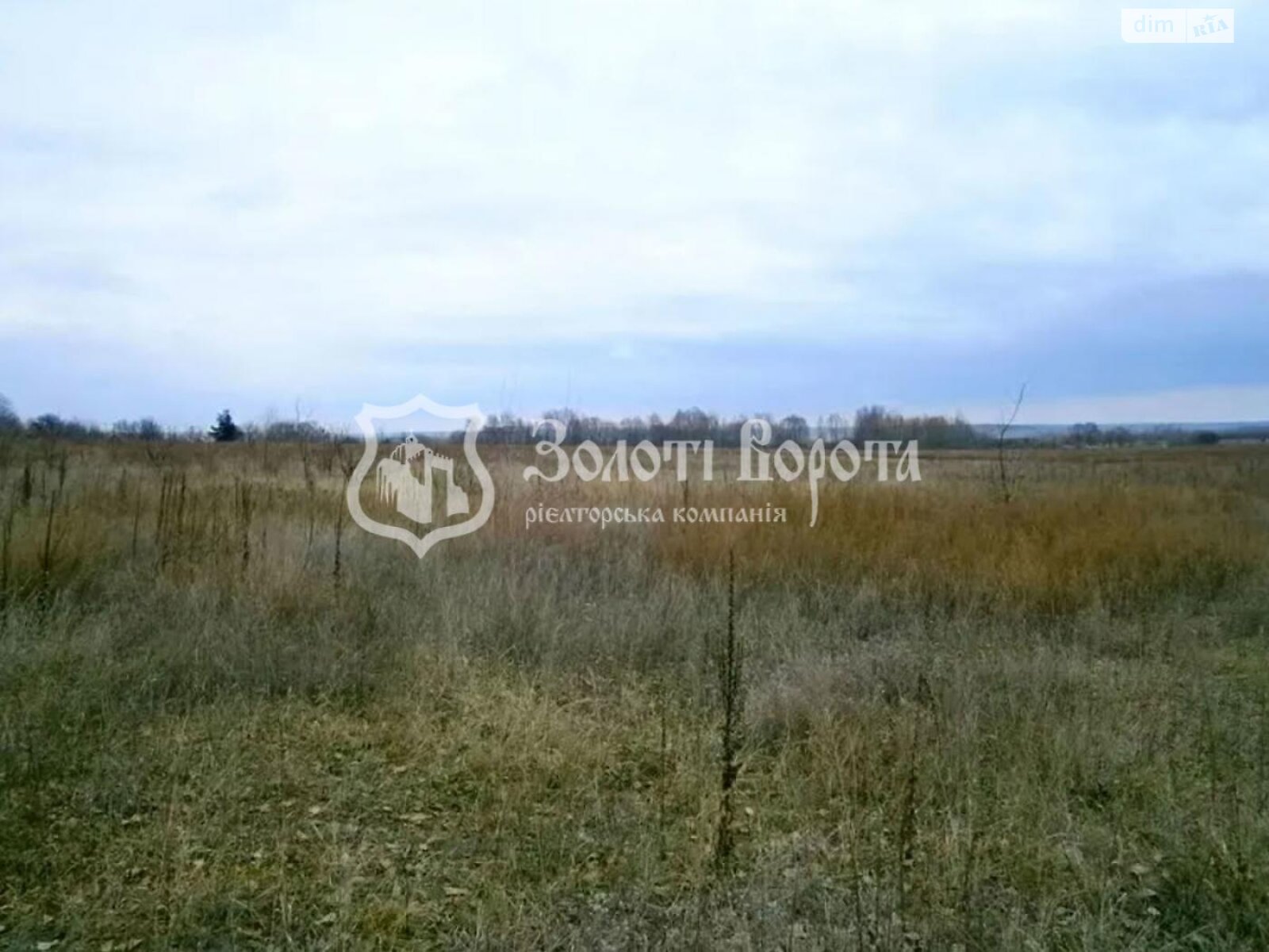 Земельный участок сельскохозяйственного назначения в Дружне, площадь 59.96 сотки фото 1 Земельный участок сельскохозяйственного назначения в Дружне, площадь 59.96 сотки фото 1