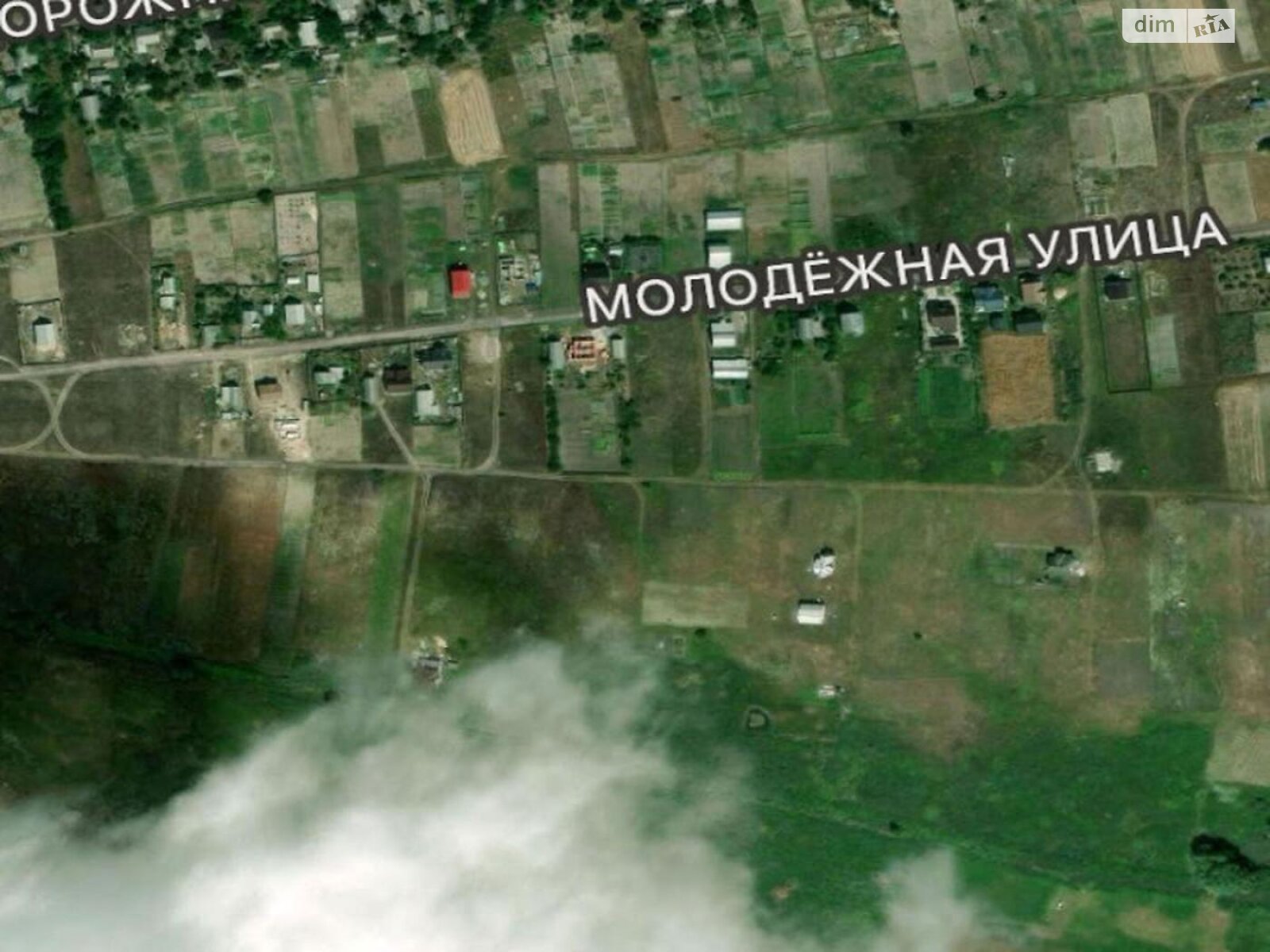 Земельный участок сельскохозяйственного назначения в Дружне, площадь 59.96 сотки фото 1 Земельный участок сельскохозяйственного назначения в Дружне, площадь 59.96 сотки фото 1