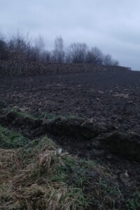 Земельна ділянка сільськогосподарського призначення в Дублянах, площа 6 соток фото 1 Земельна ділянка сільськогосподарського призначення в Дублянах, площа 6 соток фото 1