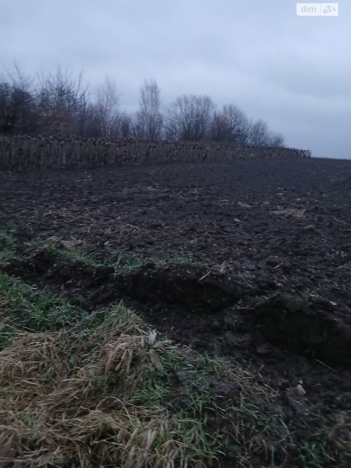 Земельна ділянка сільськогосподарського призначення в Дублянах, площа 6 соток фото 1 Земельна ділянка сільськогосподарського призначення в Дублянах, площа 6 соток фото 1