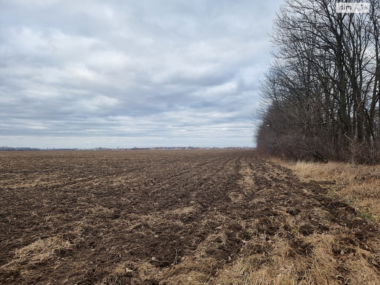 Земельна ділянка сільськогосподарського призначення в Дулібах, площа 65 соток фото 1 Земельна ділянка сільськогосподарського призначення в Дулібах, площа 65 соток фото 1