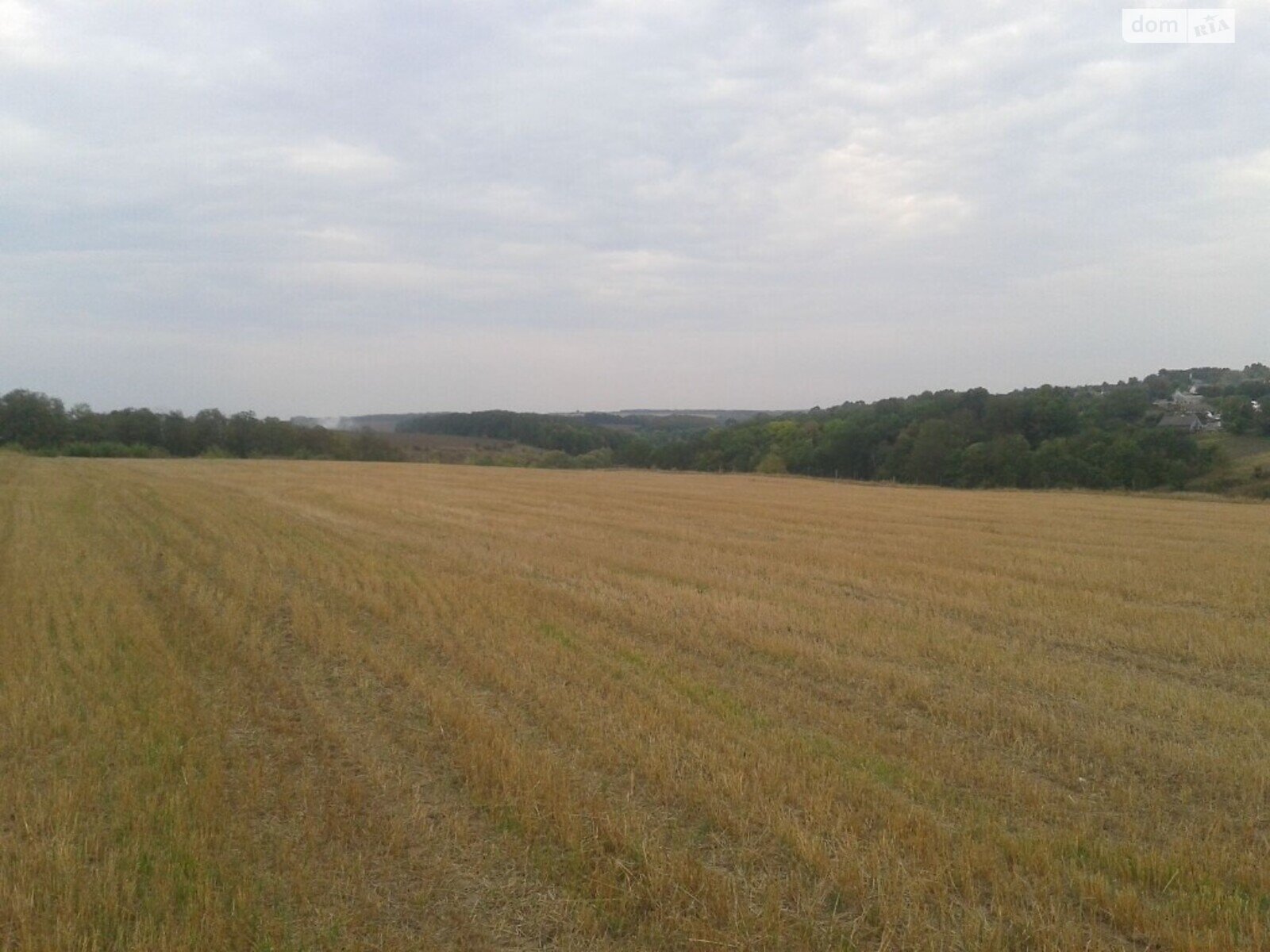 Земля сельскохозяйственного назначения в Дунаевцах, район Дунаевцы, площадь 12 Га фото 1