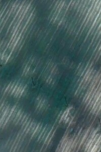 Земельный участок сельскохозяйственного назначения в Елиховичах, площадь 0.303 Га фото 1 Земельный участок сельскохозяйственного назначения в Елиховичах, площадь 0.303 Га фото 1