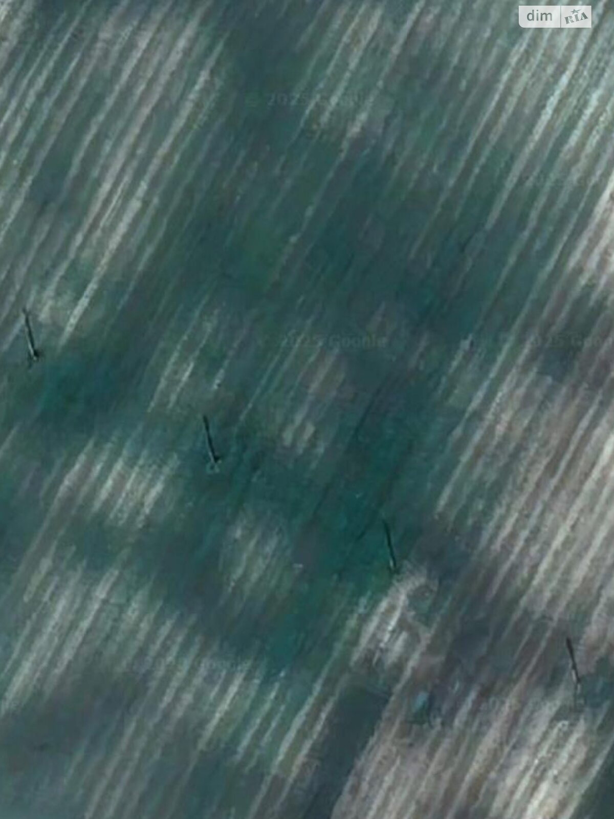 Земельный участок сельскохозяйственного назначения в Елиховичах, площадь 0.303 Га фото 1 Земельный участок сельскохозяйственного назначения в Елиховичах, площадь 0.303 Га фото 1