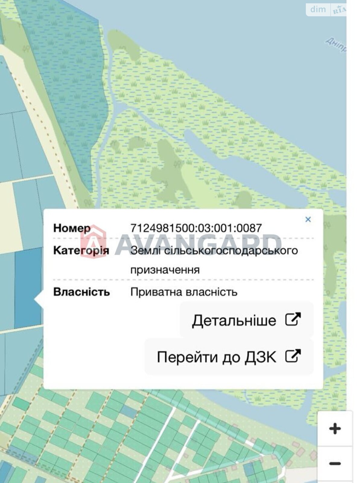 Земельна ділянка сільськогосподарського призначення в Єлизаветівці, площа 190 соток фото 1