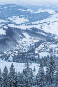 Земельна ділянка сільськогосподарського призначення в Филипці, площа 143 сотки фото 2