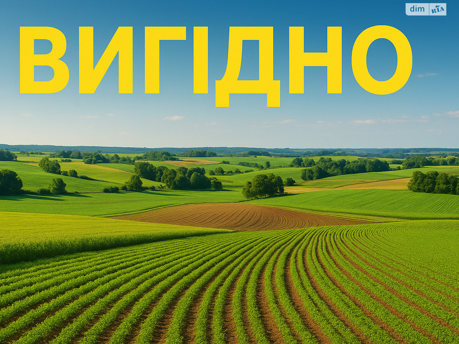 Земельный участок сельскохозяйственного назначения в Гальжбеевке, площадь 2.5692 Га фото 1 Земельный участок сельскохозяйственного назначения в Гальжбеевке, площадь 2.5692 Га фото 1