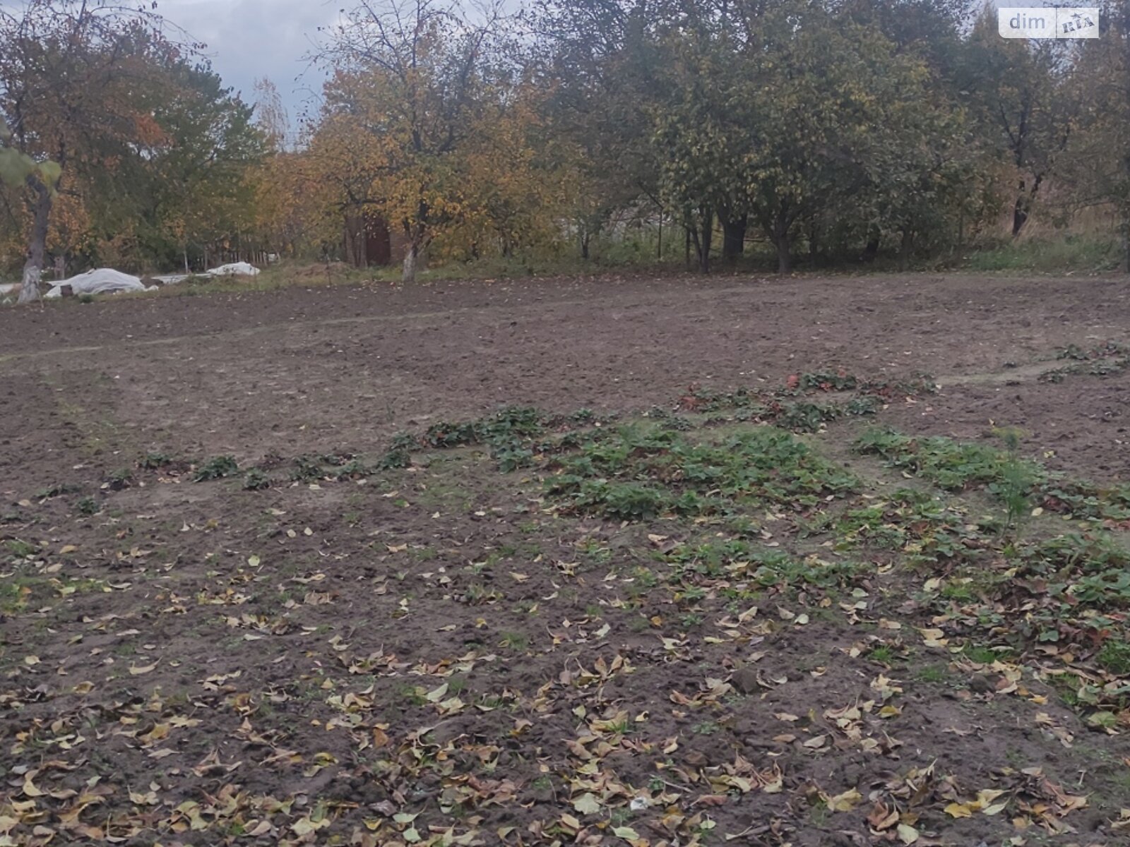 Земельный участок сельскохозяйственного назначения в Гараздже, площадь 12 соток фото 1