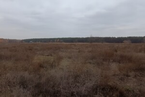 Земельный участок сельскохозяйственного назначения в Гавриловке, площадь 10.5 сотки фото 2